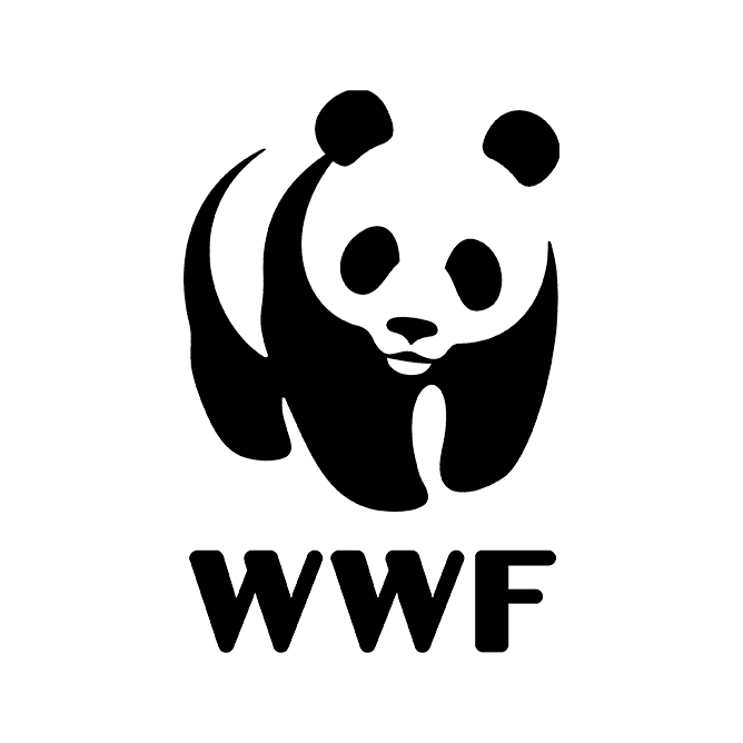 WWF x Creative Awards